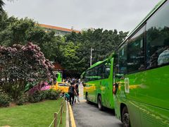-深圳仙湖植物园