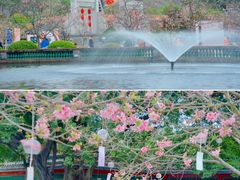 -宝墨园景区