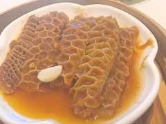 -点都德·毕德寮