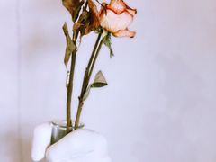 -BE YOLO必有乐&小红帽三明治