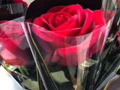 -嘉定凯悦·咖啡厅