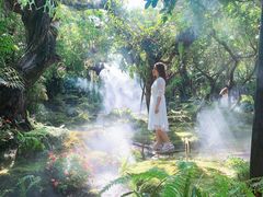 -Chom Cafe and Restaurant