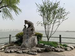 -无锡蠡湖国家湿地公园-蠡园