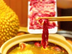 -邹开喜·炭炉鸡煲·海鲜火锅(虹口足球场店)
