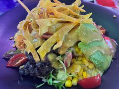 健康能量沙拉-Famous肥猫墨西哥音乐餐吧(五棵松华熙LIVE店)