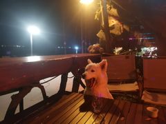 -城墙外BAR