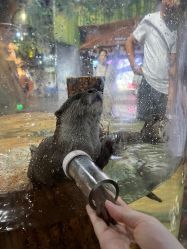 -Zoolung Zoolung动物主题公园(海信广场店)