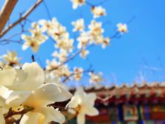 -八奇洞景区