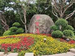 -野狸岛