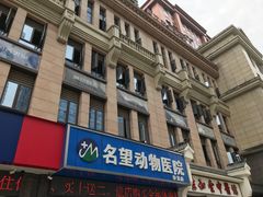 -瑞派名望24h动物医院异宠专科·猫专科·骨科·重症监护分院