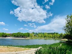 -永定河休闲森林公园