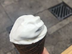-富豪雪糕车流动点(尖沙咀店)