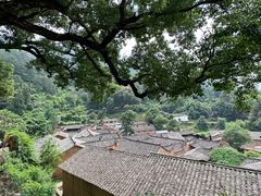 -杨家堂村