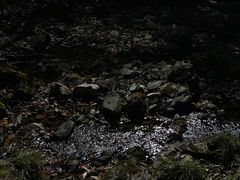 -关门山森林公园