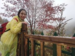 -驼梁风景区