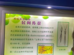 -上海昆虫博物馆