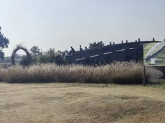 -嘉北郊野公园