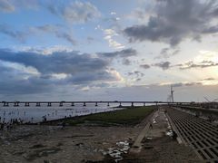-南汇新城海滩