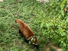 -青藏高原野生动物园