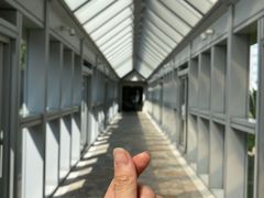 -上海明天广场JW万豪酒店