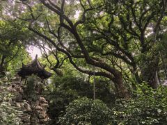 -绮园景区
