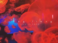 -华夏文旅西安度假区