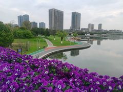 -映月湖中央公园