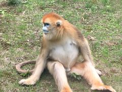 -西安秦岭野生动物园