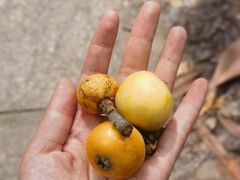 -东山风景区(洞庭东山)