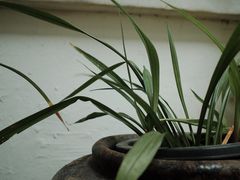 -兰亭风景区
