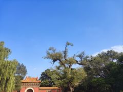 -北陵公园