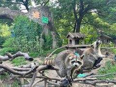 -宁波野生动物园