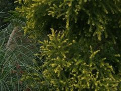 -白鹭湾湿地公园