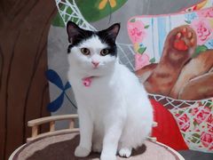 -么么咖啡(燕郊店)