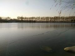 -大兴滨河森林公园