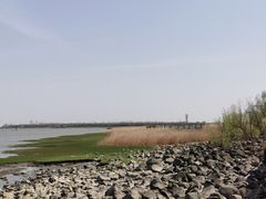 -吴淞炮台湾湿地森林公园烧烤区