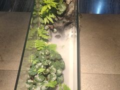 -十二厨·土菜雅院