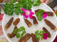 -小龙坎火锅(总店)