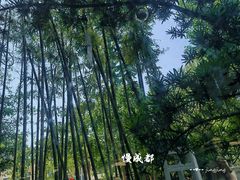 -扫雪煮茶(西村店)