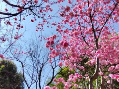 -洛龙公园