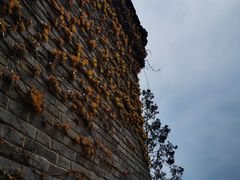 -天津盘山风景名胜区