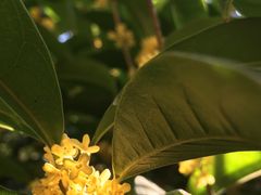 -艾溪湖湿地公园