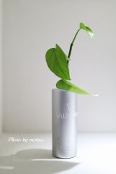 -0 SPA科技美肤·Valmont法儿曼品牌