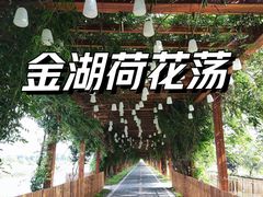 -荷花荡
