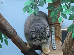 -青藏高原野生动物园