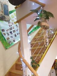 点击看大图 -阅年轻·AI家庭健康体质调理