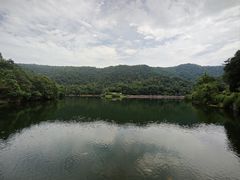 -桃花岭景区
