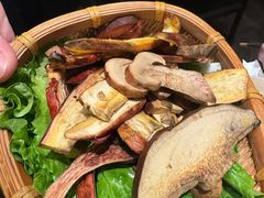 -滇野云南野生菌餐厅(陕西南路店)