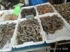 -重振华中蔬菜批发市场(重庆中路店)