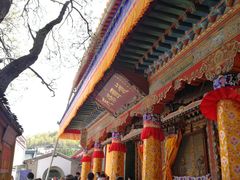 -塔尔寺游客服务中心